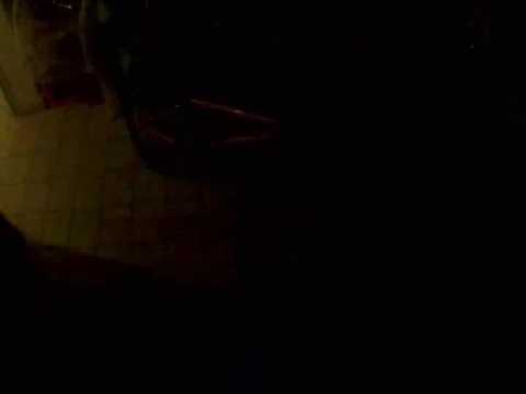 Moosinning Is My Playground