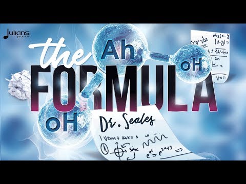 Derrick Seales - The Formula "2019 Soca" (Trinidad)