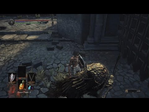 Disrespectful ASF (DARK SOULS III)