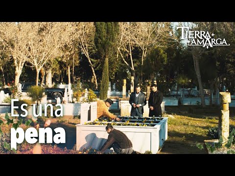 Están en la tumba - Capítulo 62
