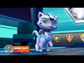 PAW Patrol Catpack Promo 2 November 25 2022 Nickelodeon U S