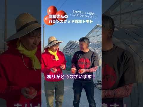 El tomate de 100 años bien equilibrado de Takayanagi 🍅 #shorts