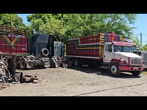 img-video