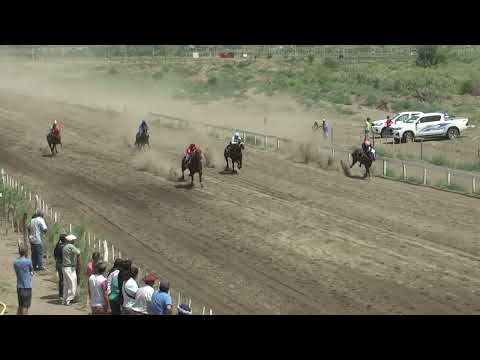 CENTRAL Club Hipico Añelo - Añelo -    27-11-2022