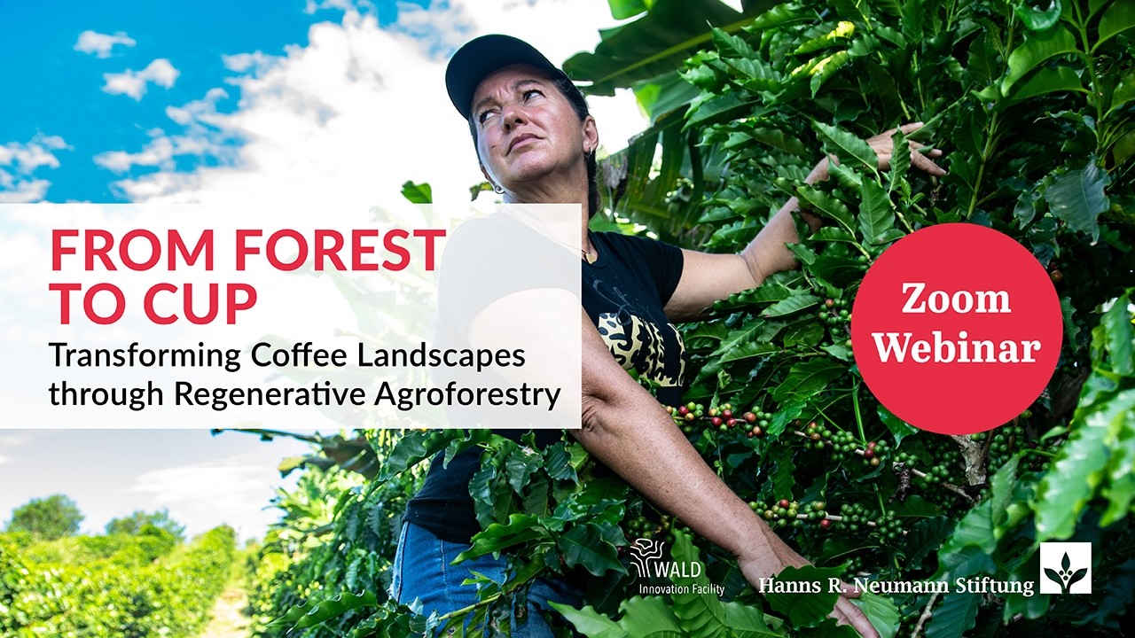 From Forest to Cup - Transforming Coffee Landscapes through Regenerative Agroforestry