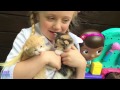 Doc Mcstuffins Vet Center Kitten Checkup Of Real Life Baby Kittens