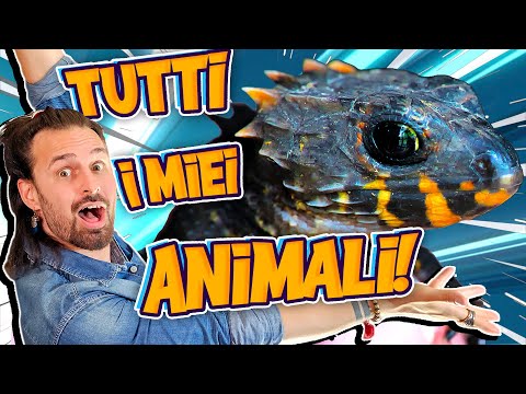 Tutti i miei Rettili - 30 Animali Strani in Casa!