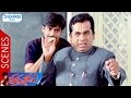 Pawan Kalyan Trolls Brahmanandam Thammudu Telugu Movie Scenes Preeti Jhangiani Shemaroo Telugu