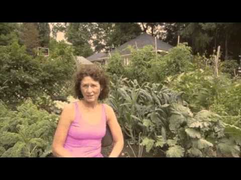 download lagu mp3 mp4 For The Love Of Kale, download lagu For The Love Of Kale gratis, unduh video klip For The Love Of Kale