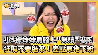 [問卦] 會把溝鼠當寵物的 想法也怪怪的吧?