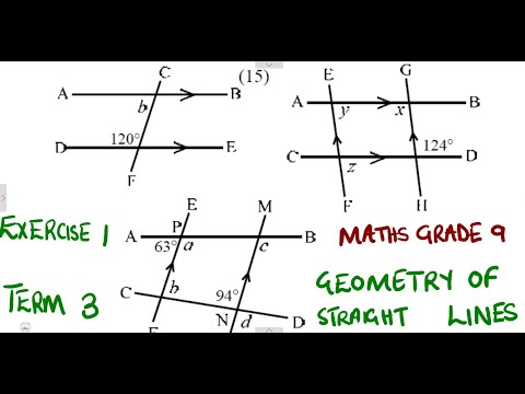 Mathematics Grade 9 Geometry of Straight Lines Exercise 1 Term 3 @mathszoneafricanmotives