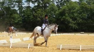 Warhorse Intro C June 2017