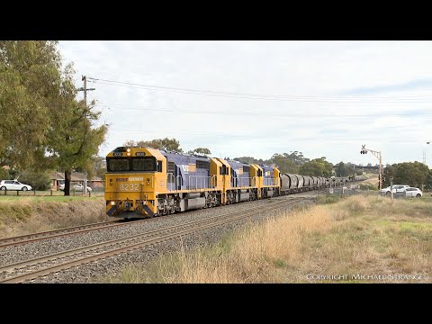7732V Pacific National Grain Train With Triple 82 Class Locomotives (14/4/2022) - PoathTV Railways