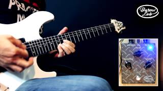 Baroni Lab "Rat'n Box" Distortion Pedal Demo - Funky Jam