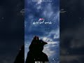 Kehte Hai Allah Tala Tooti Hui Cheez Ka Bahut Ache Se Istemaal Karta Hai Urdu Thoughts Status ️