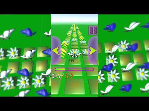 Flying Butterfly Flyer Runner