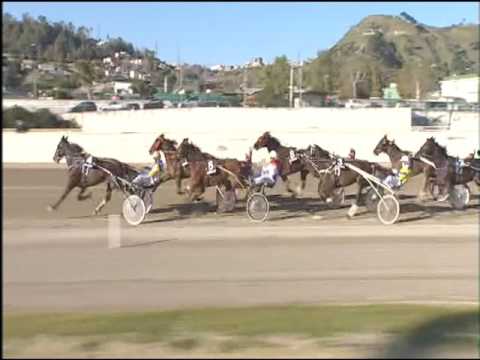 Trotto 19/02/2017 - 3ª corsa