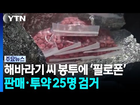 해바라기 씨 봉투에 필로폰 밀수..."57만 명 투약량" / YTN