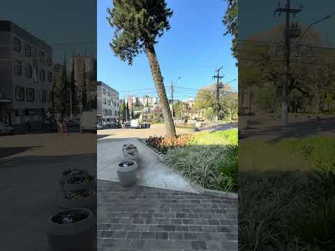 A vida pulsa no centro da cidade 🏙️ #riograndedosul #serragaucha  #carlosbarbosa