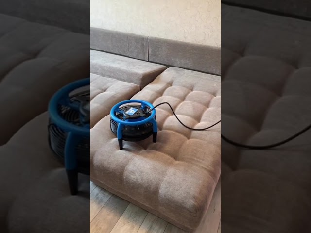 Химчистка и сушка дивана 