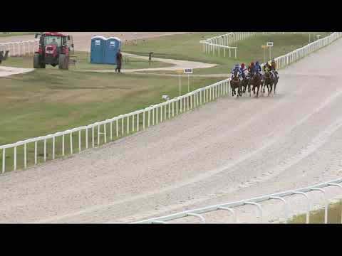 2021.08.29. 05. futam - GRÓF SZAPÁRY GYULA EMLÉKVERSENY HENDIKEP (III.o.) (szintetikus pálya)