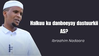 Halkuu ku dambeeyay dastuurkii ay hore u qorteen Maleeshiyada Shabaab?