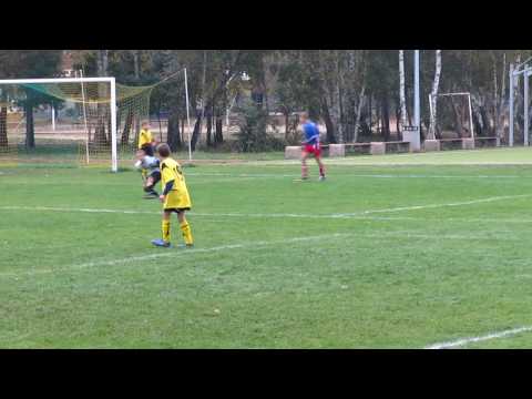 SEMP95 - PERŁA ZŁOTOKŁOS