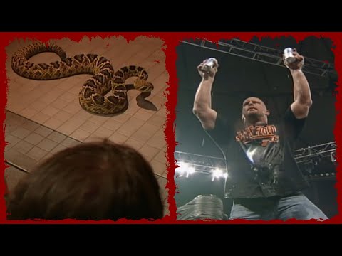Triple H Face To Face With A Rattlesnake!