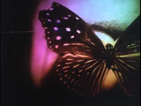 drwn. x henneysee - nightingale EP