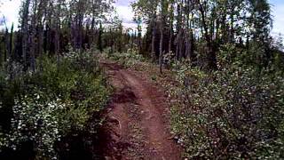 preview picture of video 'End of Lake Louise Rd. Trail 5'