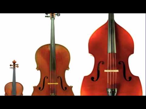 The String Family - A Digital Story