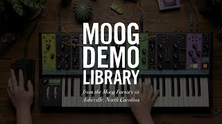 Video thumbnail for EP-3 Expression Pedal | Pulse Width Control by Moog Music