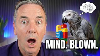Alex Proved Animals Understand More Than We Thought
