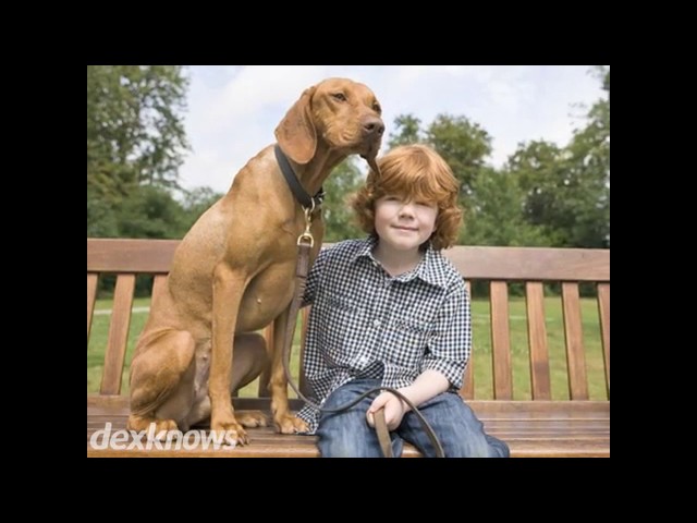 Kendrick General Pest Control - Clinton, IA