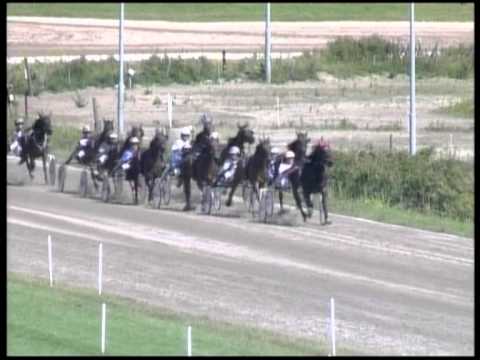 Duindigt 12 Augustus 2012 Koers 3