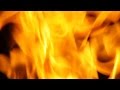 Krokus - World on Fire