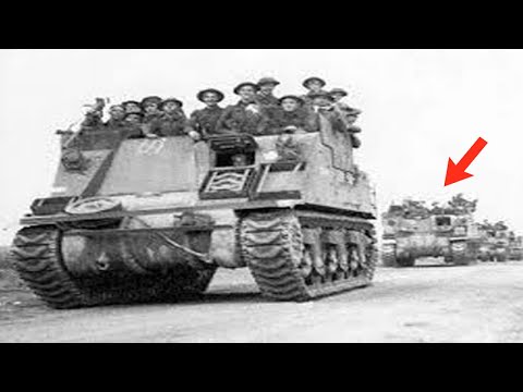 The Kangaroo: When Military Innovation Defied Every Rule