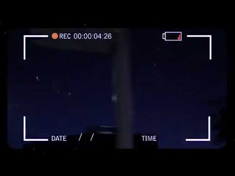 NIZZY BEE  -  Freestyle #1 X O.R. K [2020]