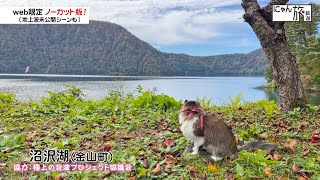 Vol.182「にゃん旅鉄道」沼沢湖に来たにゃ！