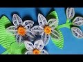 Paper Quilling: 3D white flowers with shadow