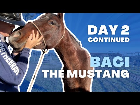 Day 2 Part 2: Trimming Baci’s Mane & Handling a Defensive Kick