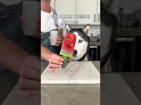 ¡Paletas de sandía caseras para perros!