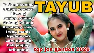 Download lagu TAYUB TOP JOS GANDOS 2026 KONCO NGOPI JIAN MANTEB  mp3