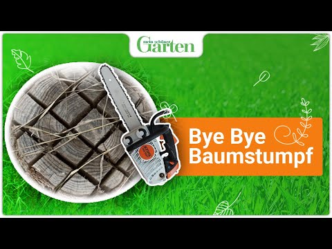 Baumstumpf entfernen: So geht’s ohne Ausgraben!