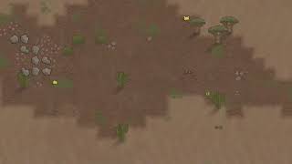 Video 3