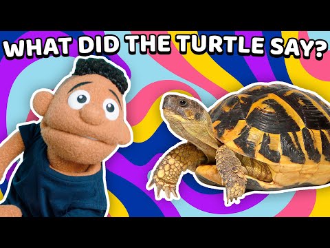 Witness21  2022 03 11