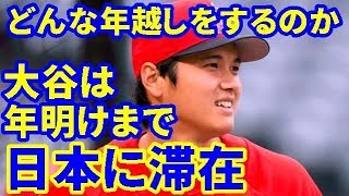 【MLB】大谷は年明けまで日本にいる予定。自宅で誰と、どんな年越しをするのか【大谷・MLB・エンゼルス】