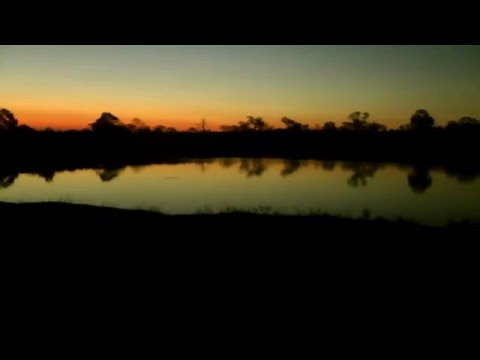 May 23 - Hippo calls during sunset in Sabi Sand Private Game Reserve. S. Africa 2014