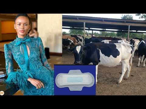 Mwanamitindo Flaviana Matata asikitishwa mabinti kutumia vinyesi vya ng'ombe kama taulo za kike