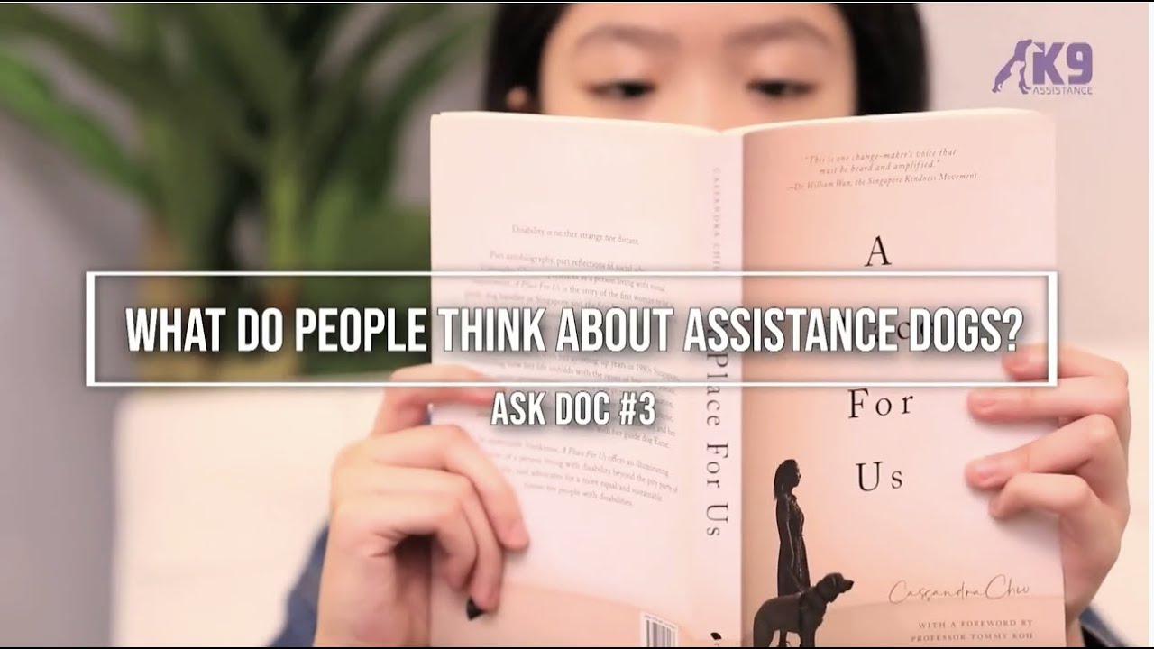 Ask Doc #3: What do people think about Assistance Dogs?